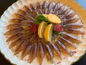月与寿鳖 4